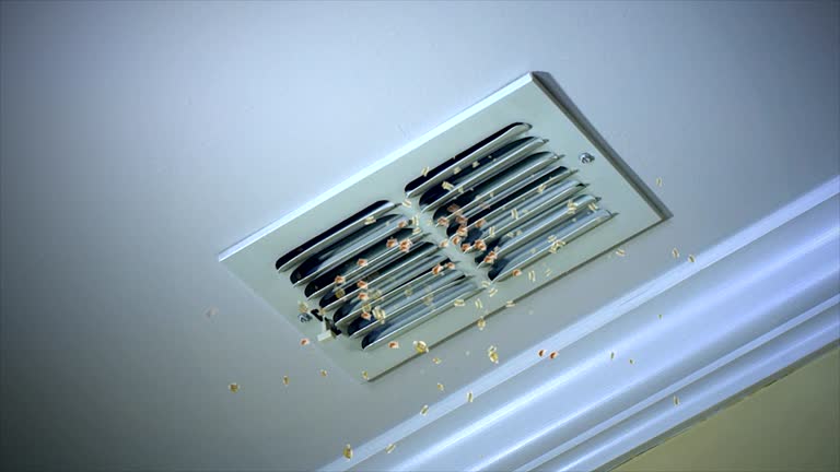 Home Air Vent Cleaning in Penbrook, PA